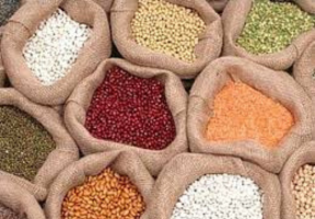 Premium Makhana Fox Nuts for Export